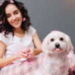 Camp Bow Wow Rides a Wave of Success with Aggressive Franchise Expansion